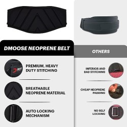 DMoose Fitness Neoprene Weightlifting Belt Back Cushion Foam Support 